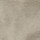 Wealthy Gathering carpet - 029